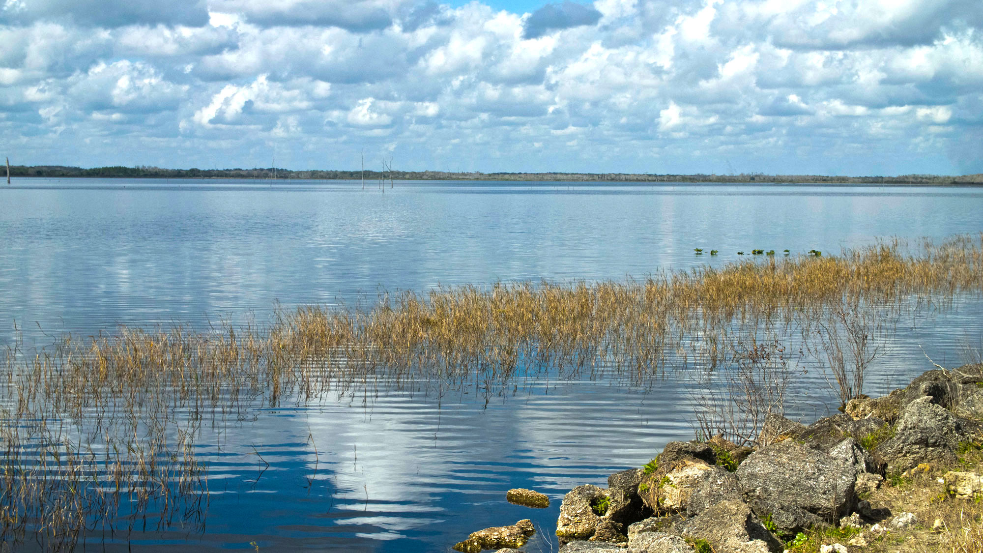 Taylor Creek Reservoir with vegetation and rocky shoreline.